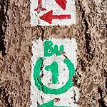 Bullau-bue - Im Gruenen Erbach (Odenwaldkreis)