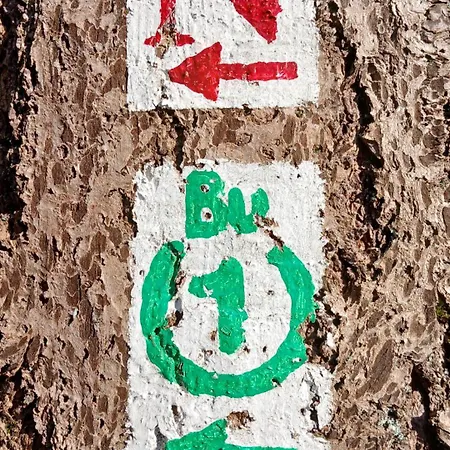 Bullau-bue - Im Gruenen Erbach (Odenwaldkreis)