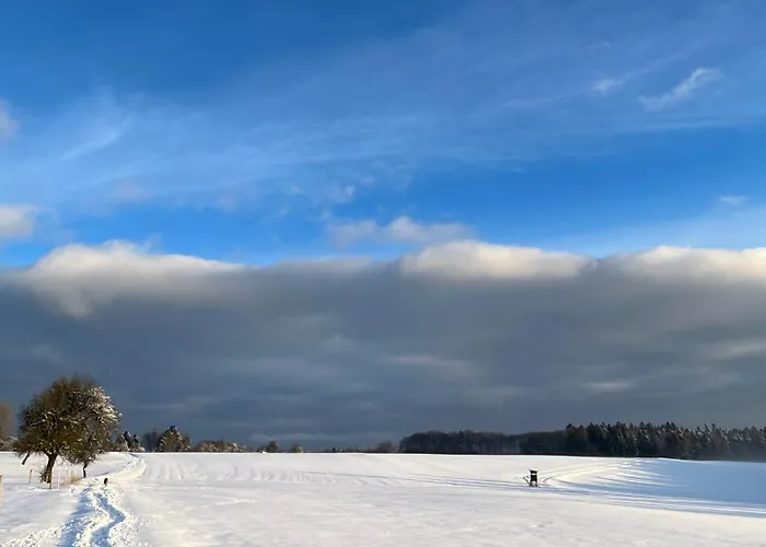 Bullau-bue - Im Gruenen 아파트 에르바흐